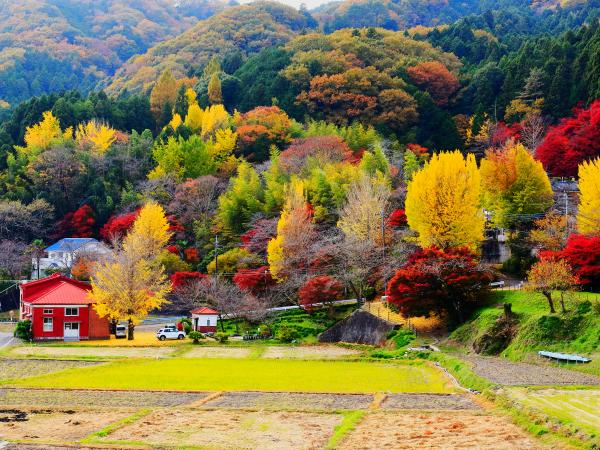 『第8回フォトコン立川醤油店賞』の画像