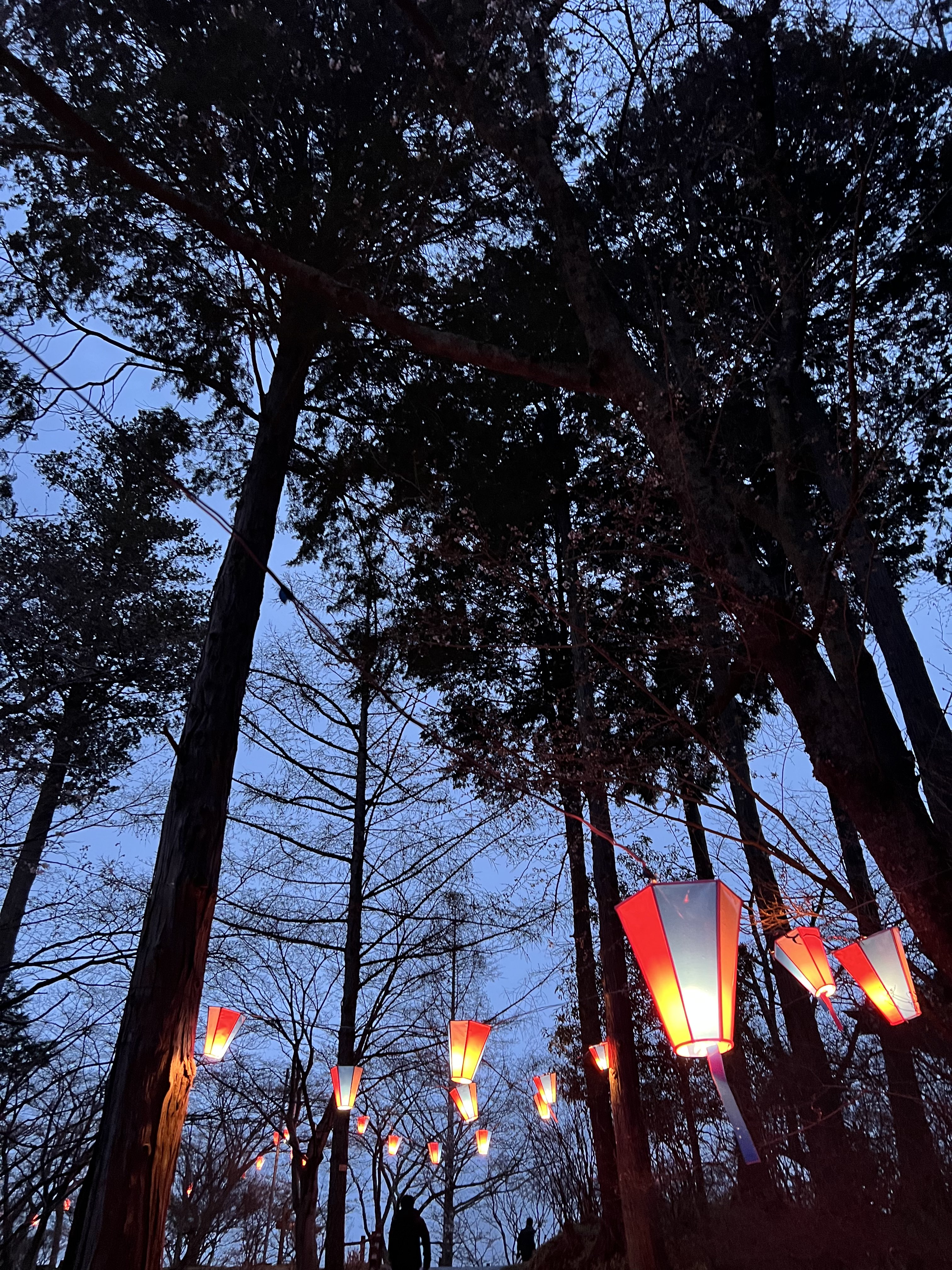 『西山公園ライトアップ　2』の画像