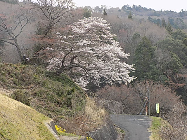 『御越場(1)4.7』の画像