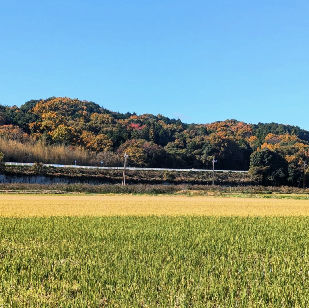 『インスタ部門人気賞(1)』の画像