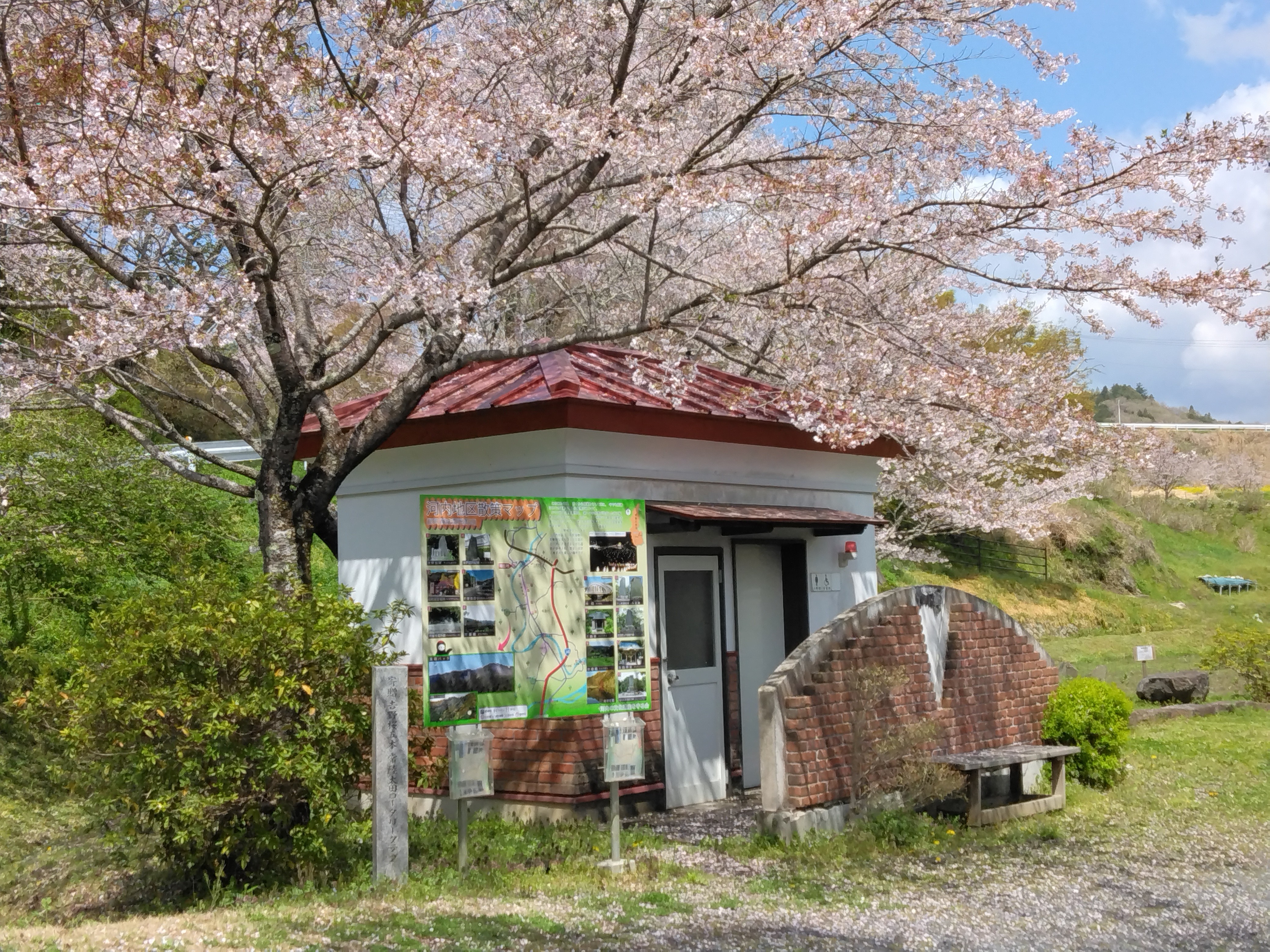 『R7.4.14変電所の桜(2)』の画像