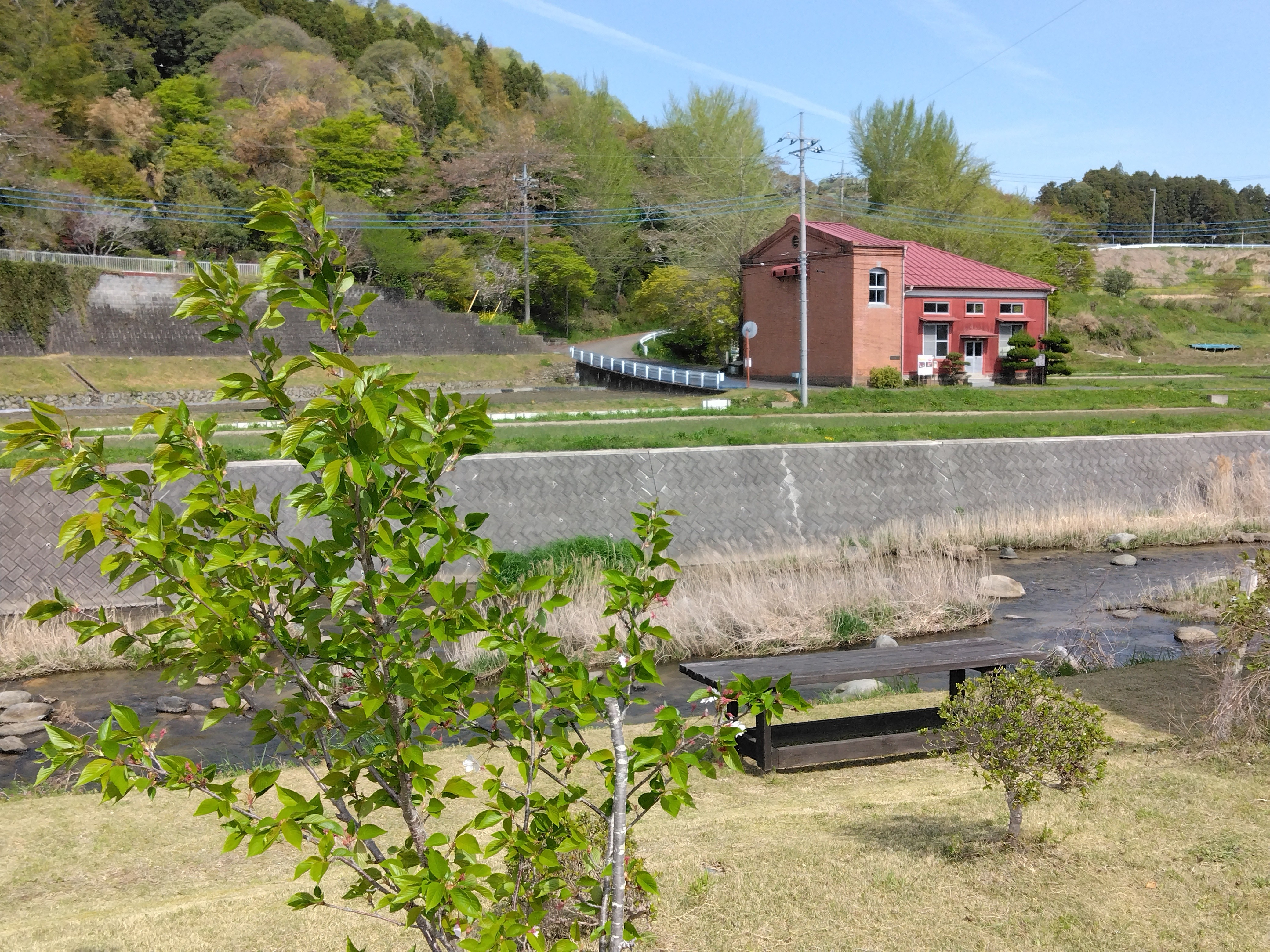 『R7.4.21町屋変電所の桜(3)』の画像
