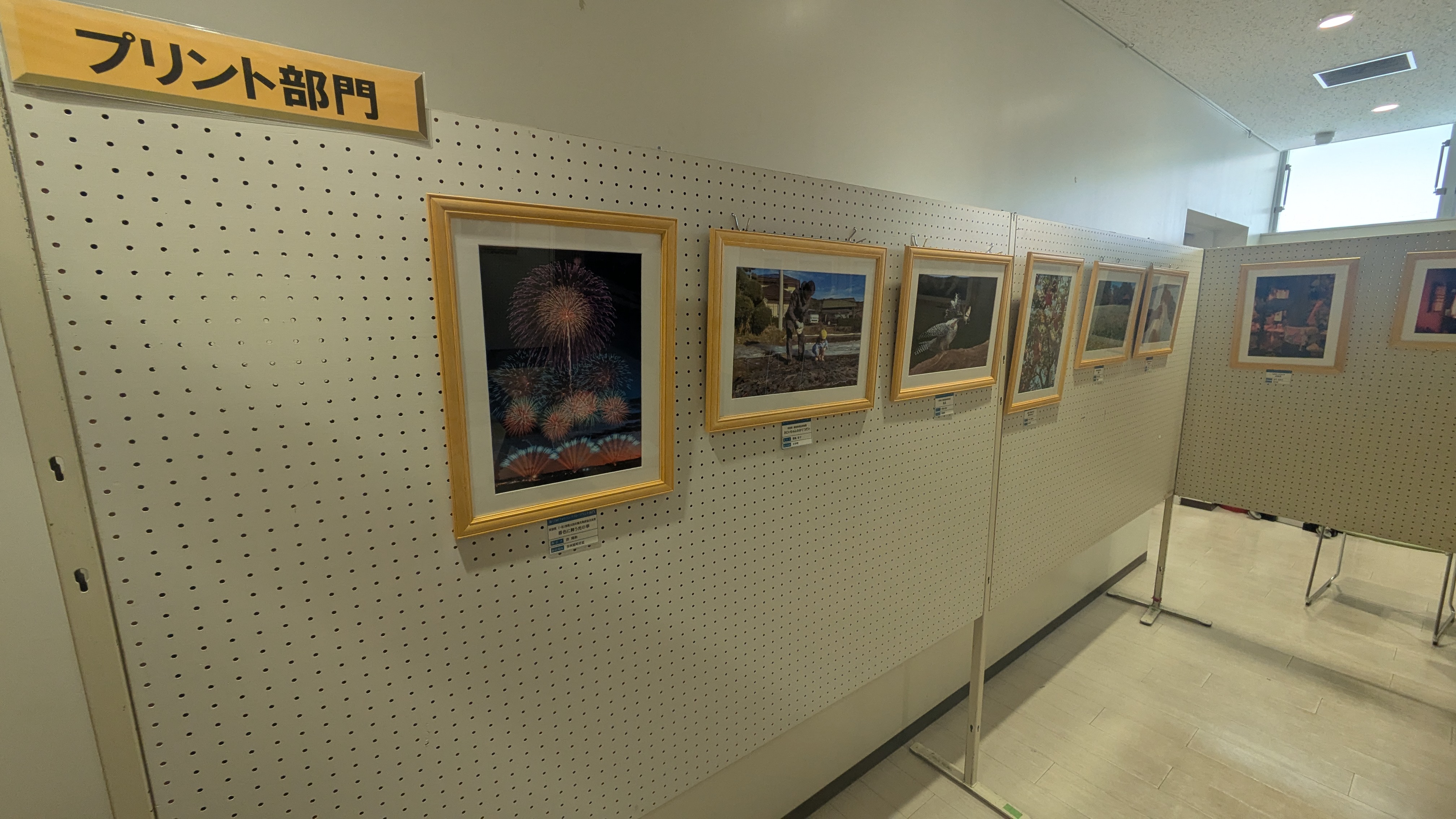 『第11回写真展(2)』の画像
