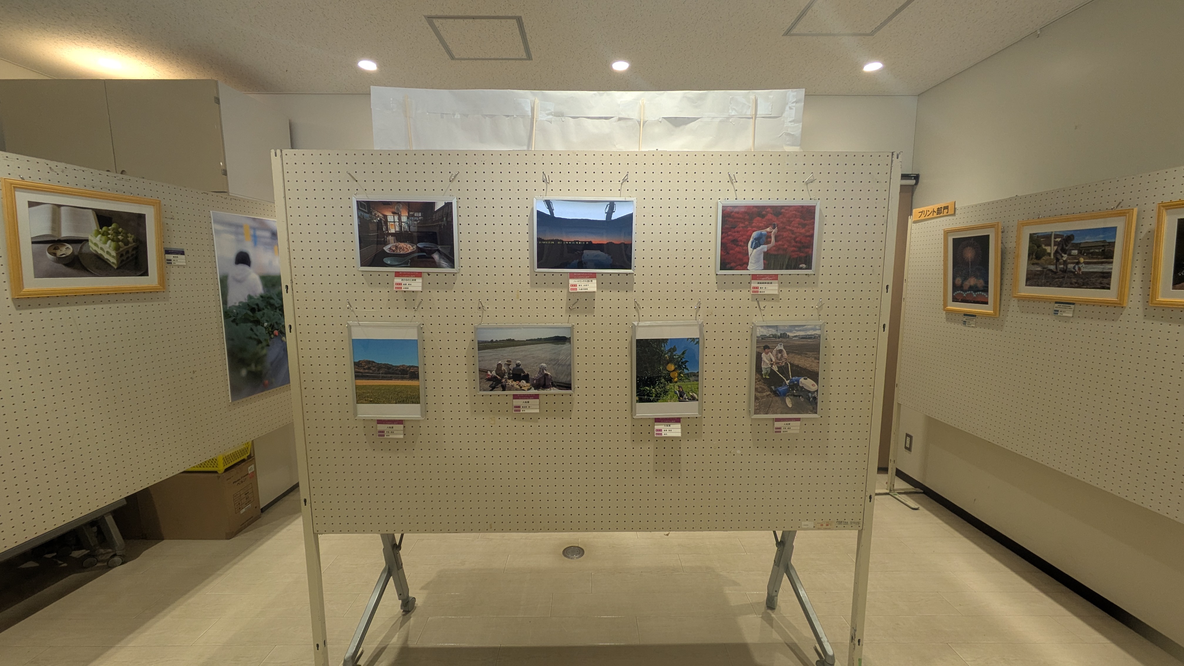 『第11回写真展(5)』の画像