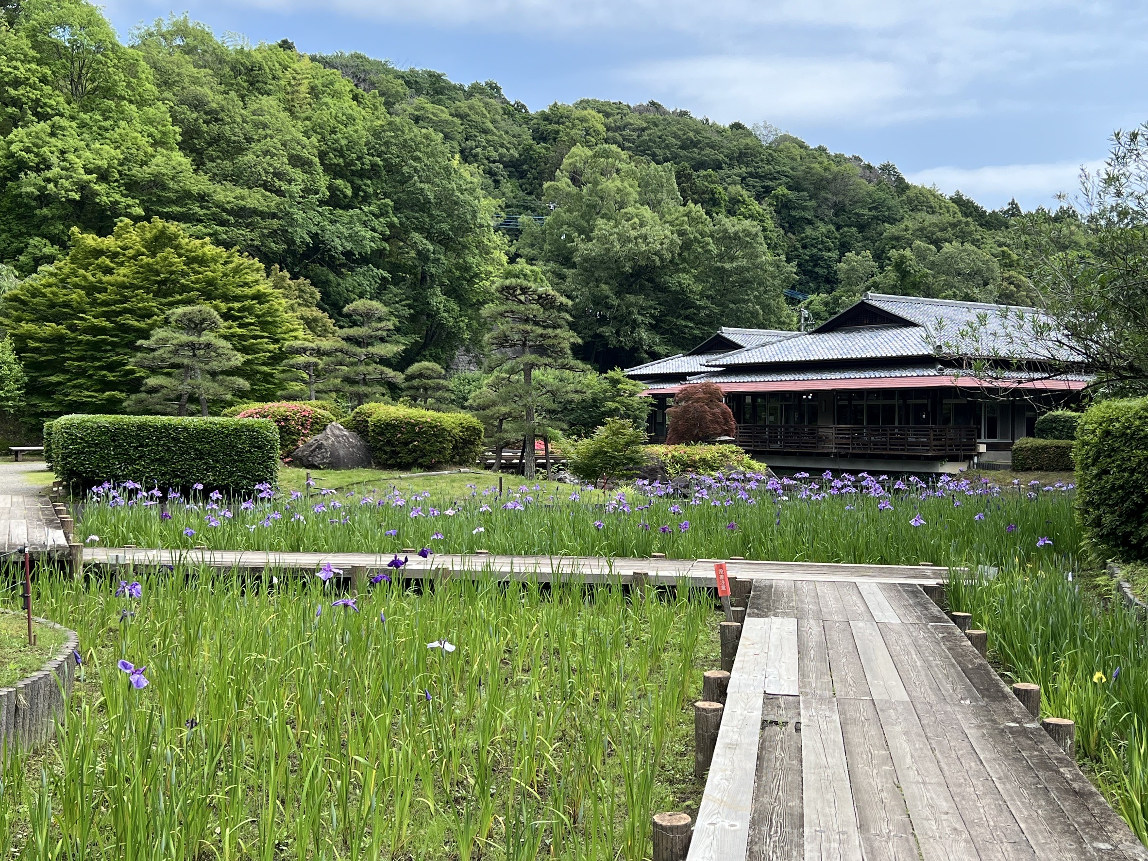 『R7.6.13(2)』の画像