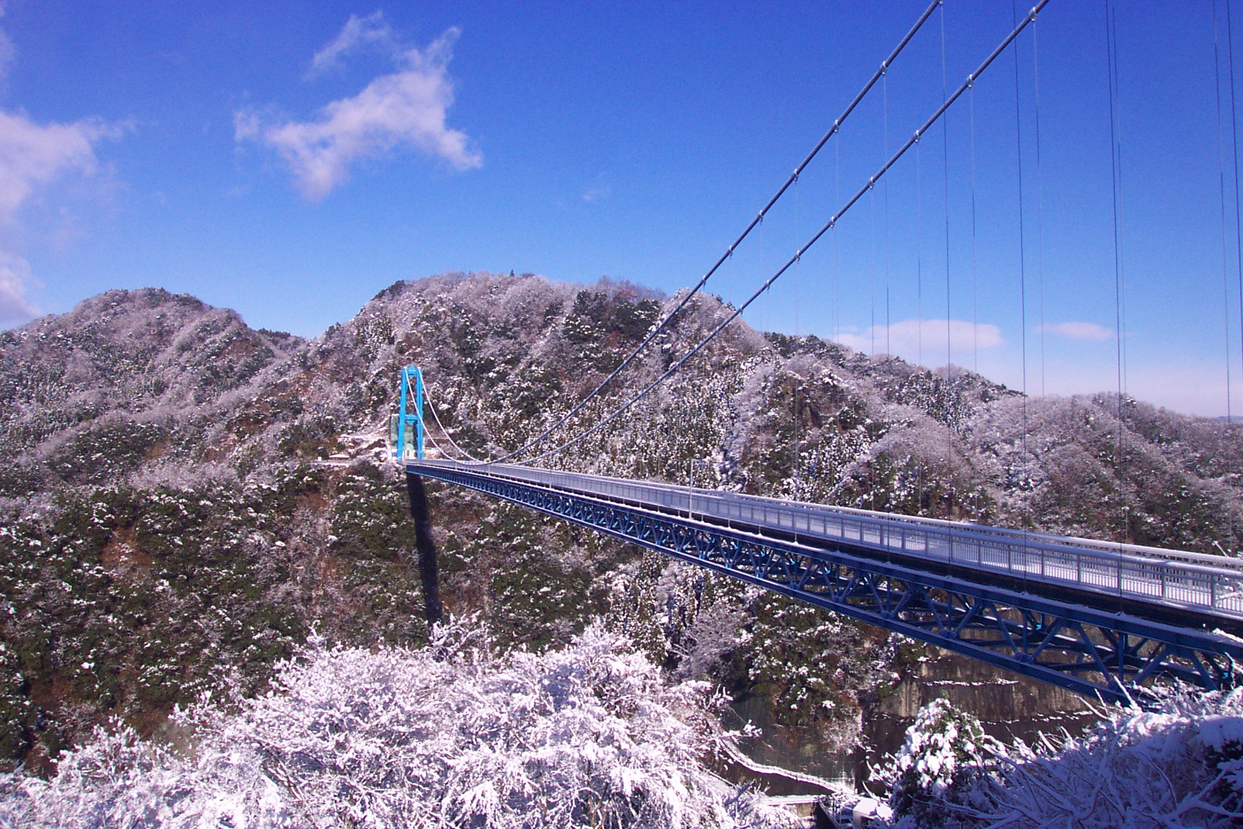 『風景_00_龍神大吊橋0002』の画像
