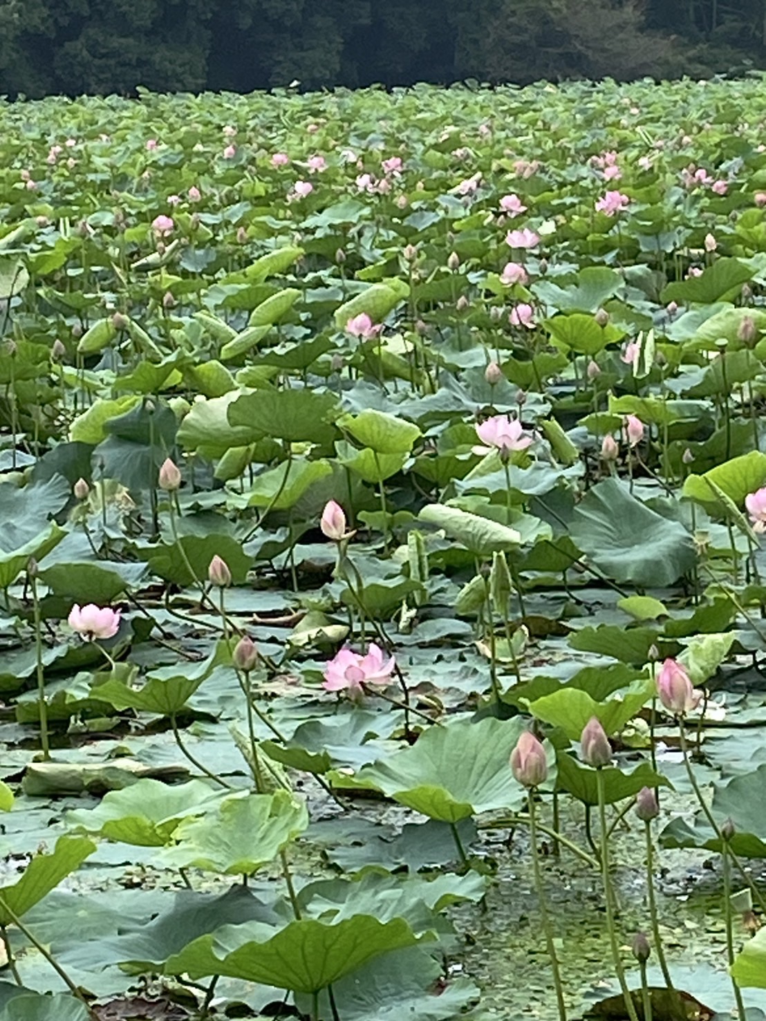 『R7.7.14(2)』の画像
