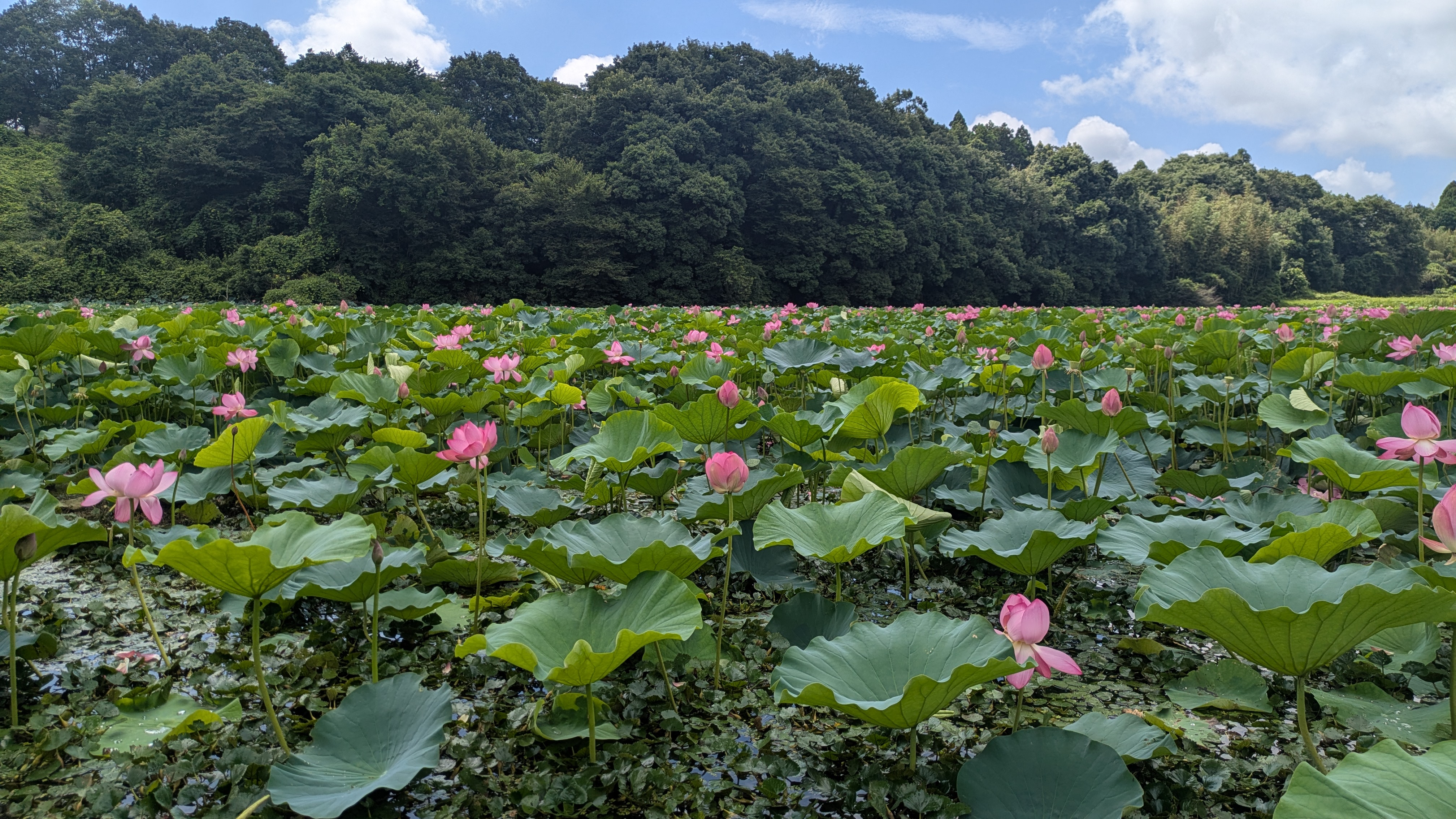 『R7.7.17(1)』の画像