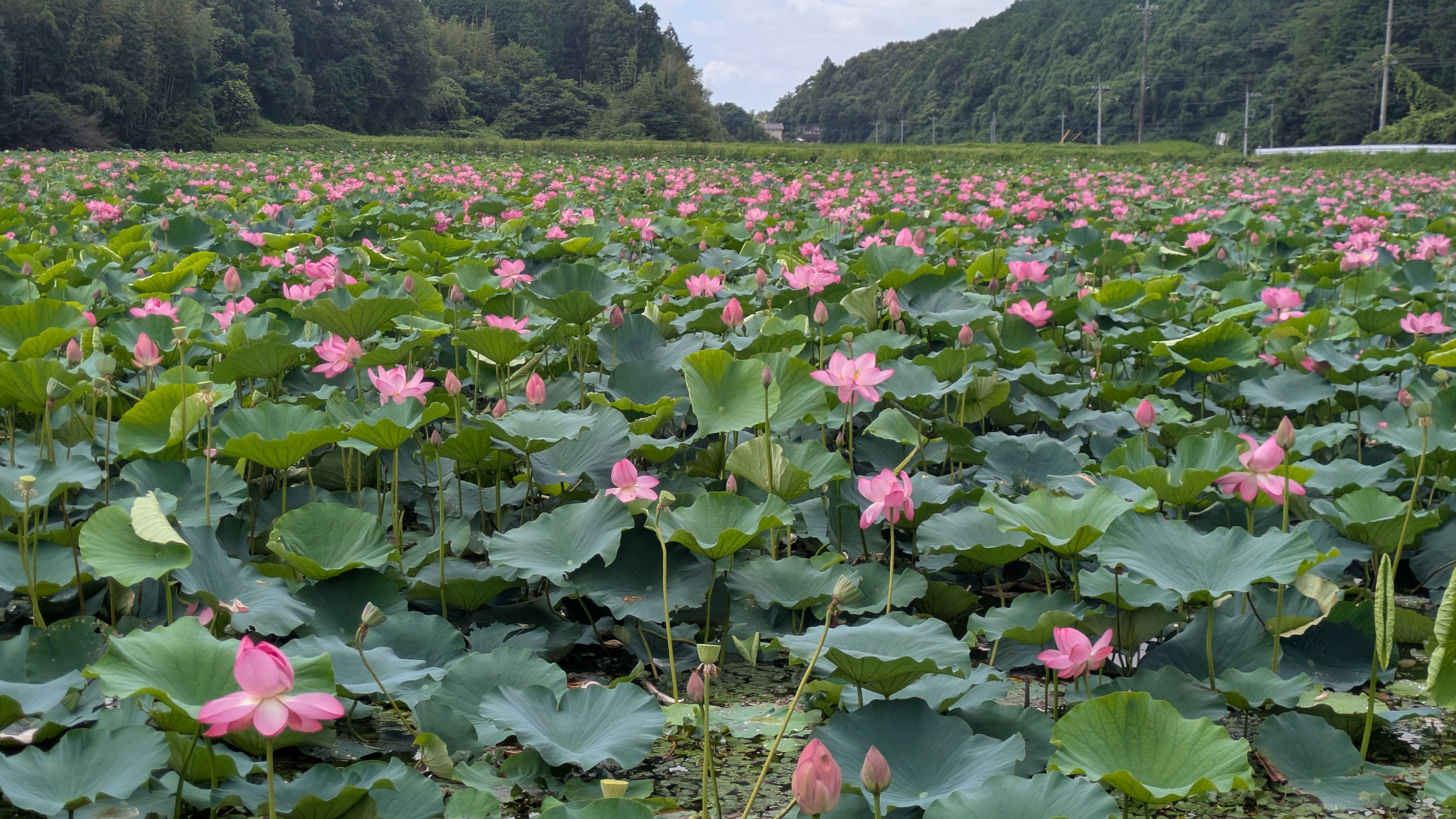 『R7.7.17(2)』の画像