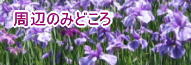ӂ݂̂ǂ